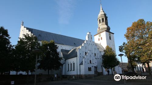 Budolfi Church