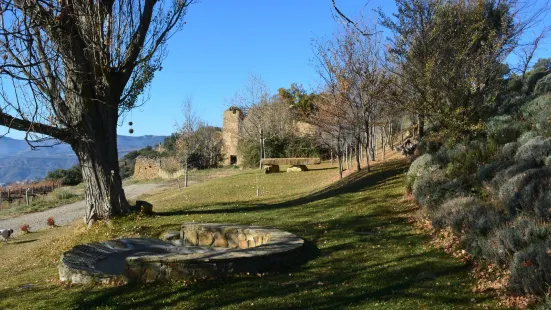 Bodega Castell d'Encus
