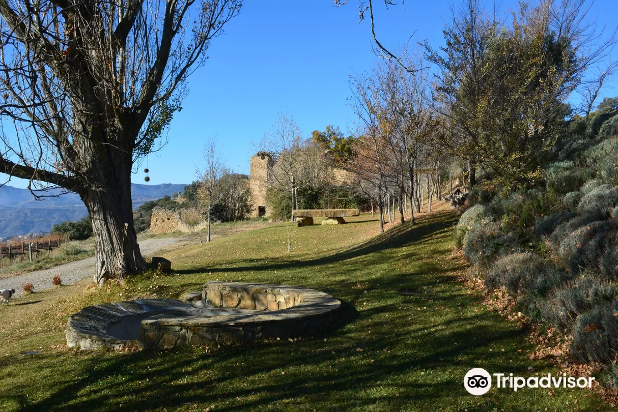 3_Bodega Castell d'Encus