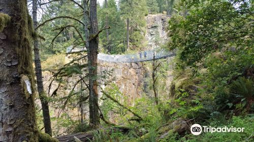 Elk Falls Suspension Bridge