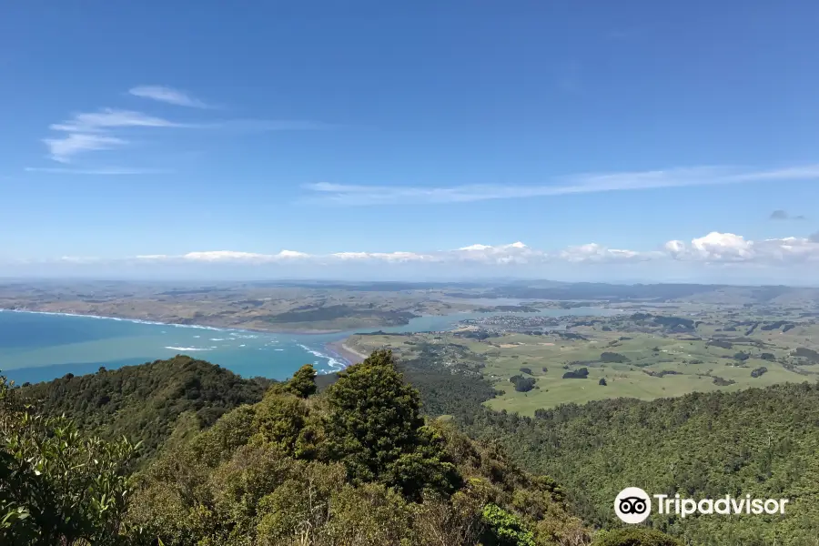 Karioi Summit Track