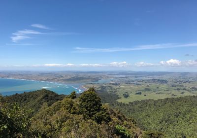 Karioi Summit Track