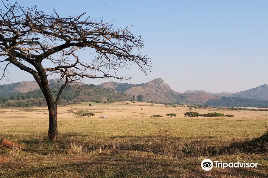 Mlilwane Wildlife Sanctuary