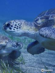 Excel Scuba Tenerife