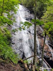 Rufus Morgan Trail and Falls