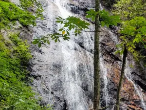 Rufus Morgan Trail and Falls