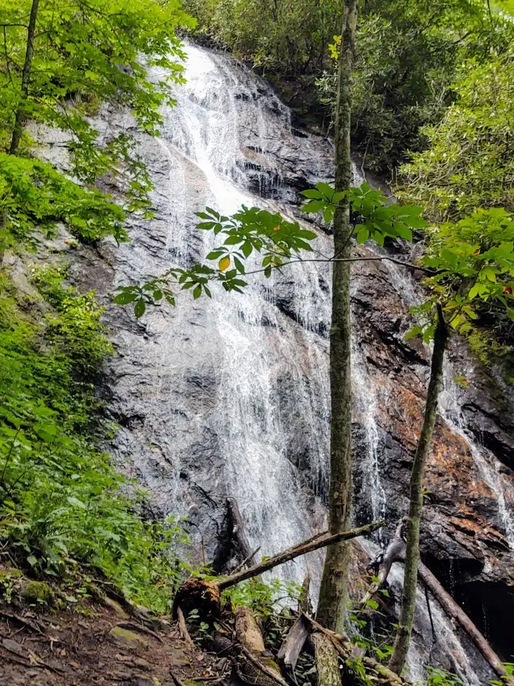 Cartoogechaye住宿飯店