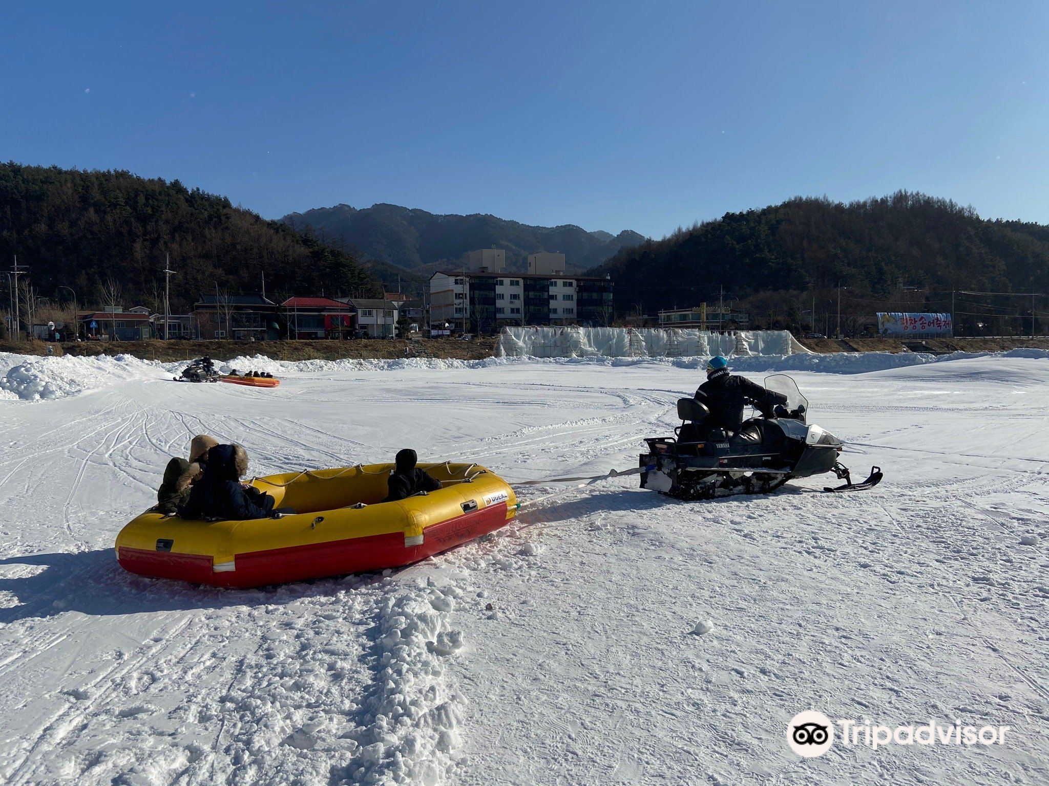 평창송어축제 | 평창