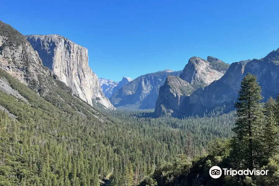 Discover Yosemite