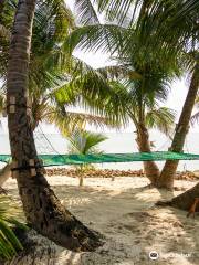 Ranguana Tropical Island Experience