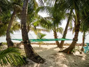 Ranguana Tropical Island Experience