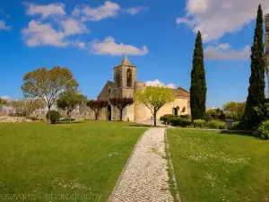 Castelo de Montemor o Velho