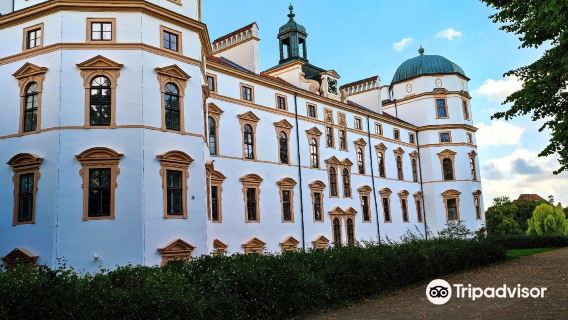 Celle Castle