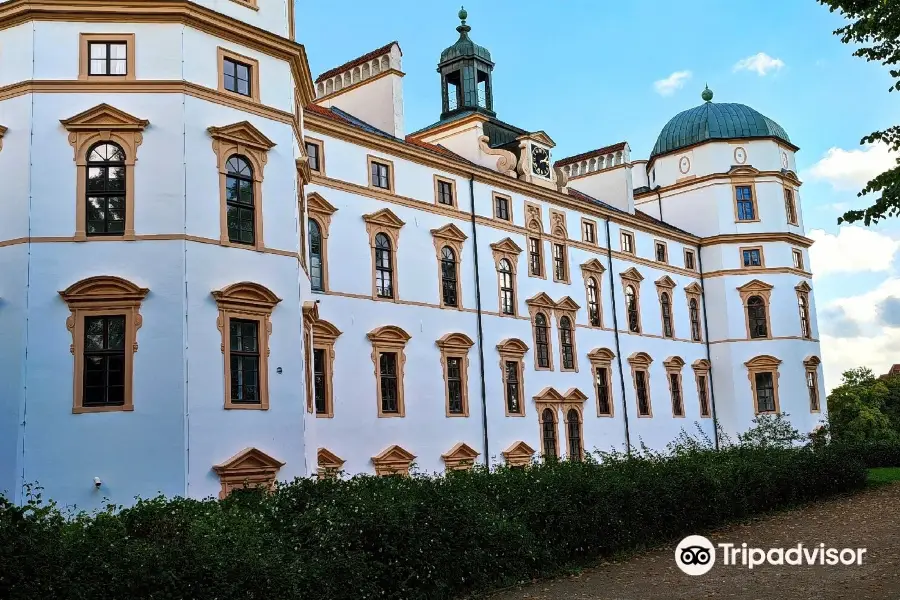 Herzogschloss Celle