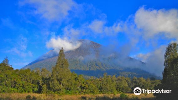 Mount Semeru Volcano