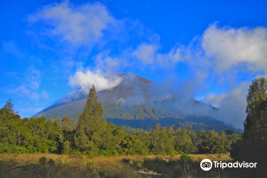 塞梅魯火山