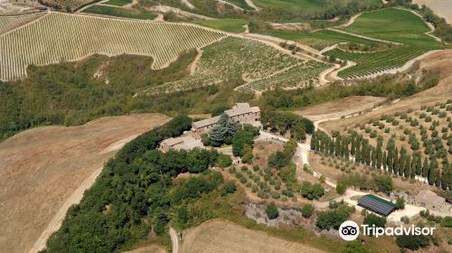 Cantine Neri