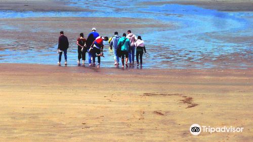 Plage de Cabourg