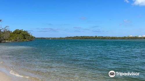 Maroochy River Conservation Park