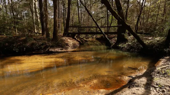 Big Creek Scenic Area