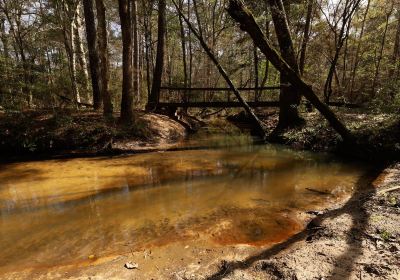 Big Creek Scenic Area