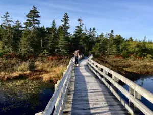 Black Duck Cove Provincial Park