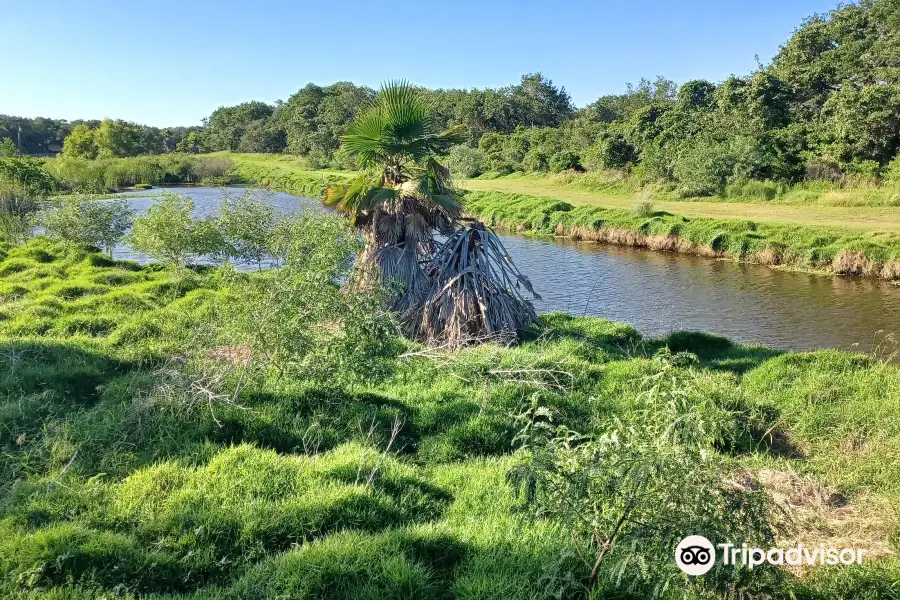 Tule Creek Hike And Bike Trail