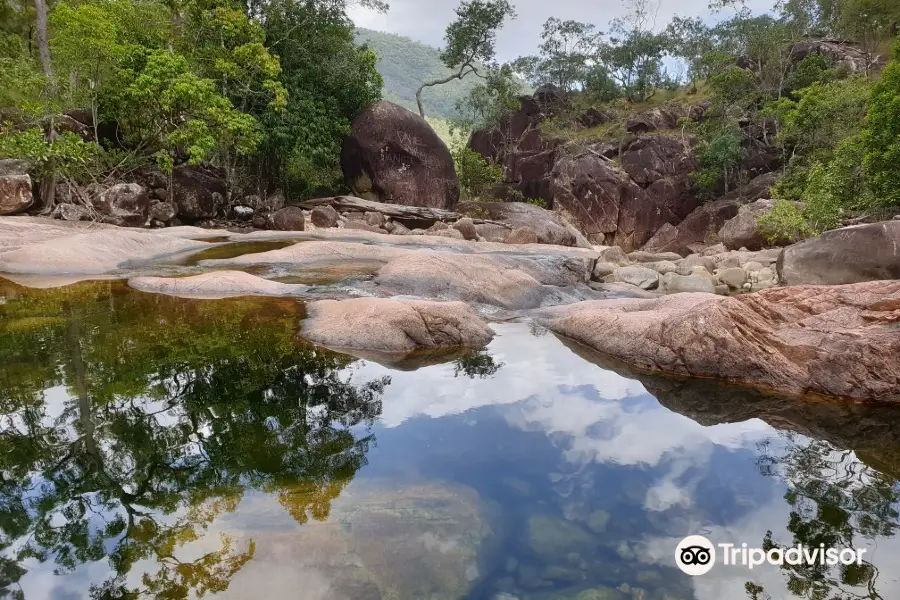 Parque nacional Montañas Paluma