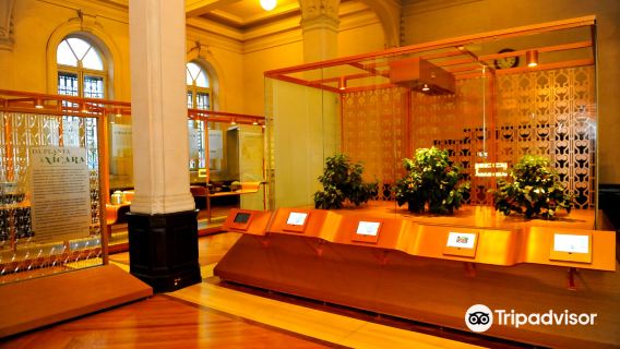 Coffee Museum