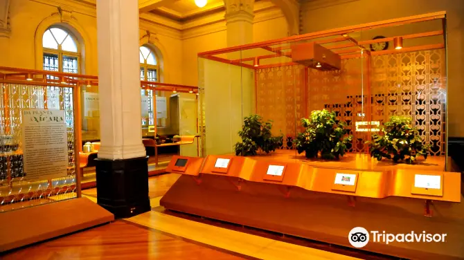 1_Coffee Museum