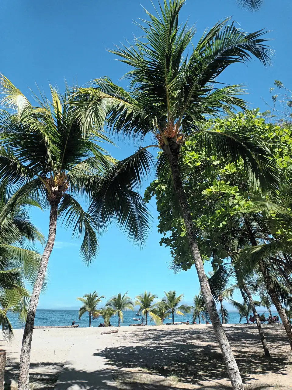 3_Playa Mantas