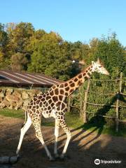 Plzeň Zoo