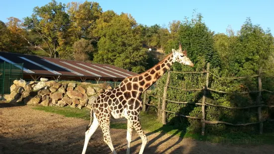 Plzeň Zoo