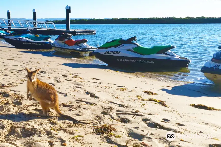 Jet Ski Safaris