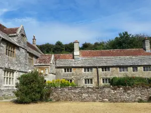 Mottistone Gardens