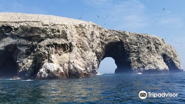 Embarcadero Islas Ballestas