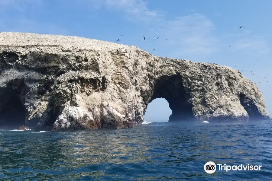 Embarcadero Islas Ballestas