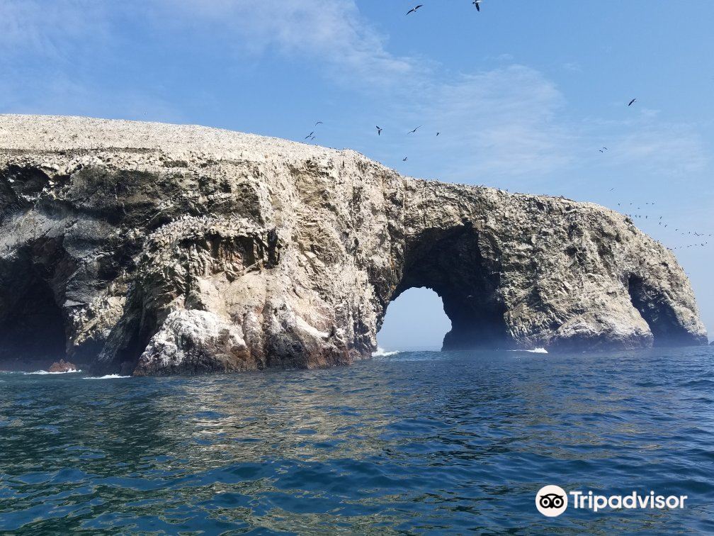 Paracas