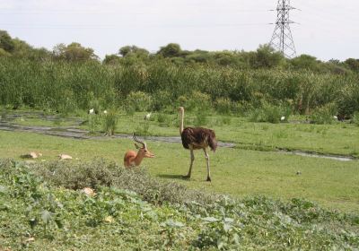 Game Reserve Rd