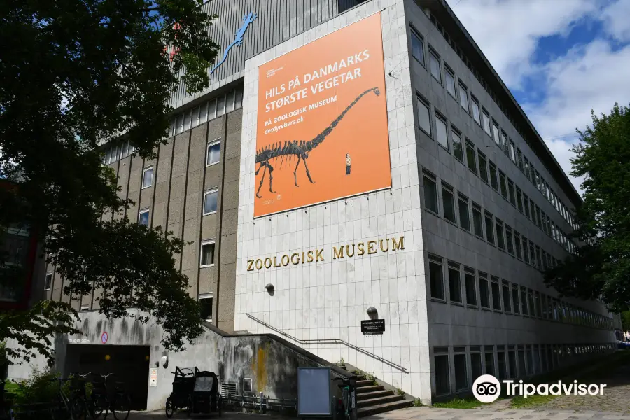 Zoological Museum