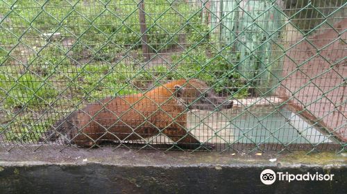 Zoologico de San Martin