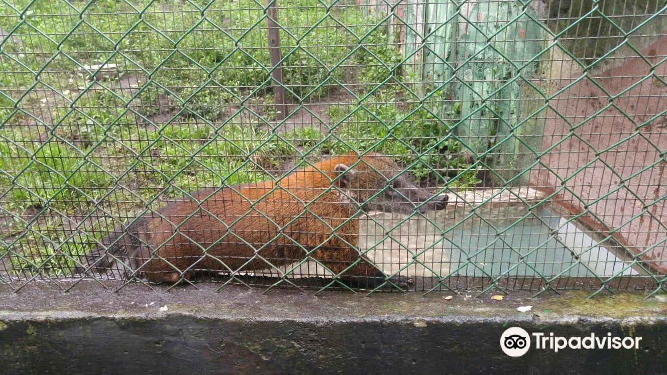 5_Zoologico de San Martin