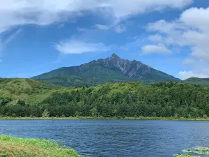 Otatomari numa Swamp