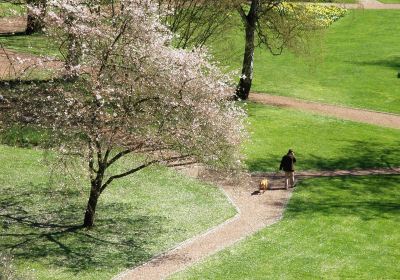 Deutsch-Franzoesischer Garten