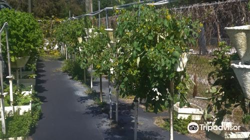 Hydro Harvest Farms