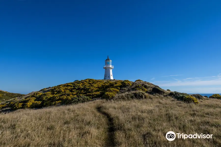 Pencarrow upper lighthouse