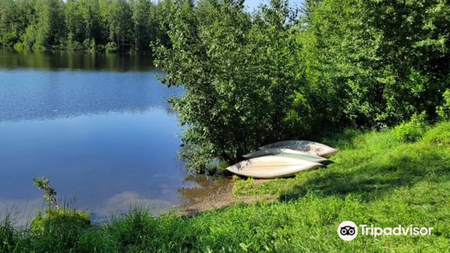 University Lake Dog Park
