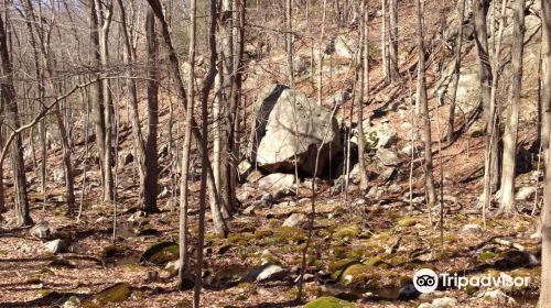 Ward Pound Ridge Reservation