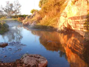 Espai Natural Els Estanys d’Almenara