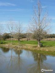 Matagorda County Birding